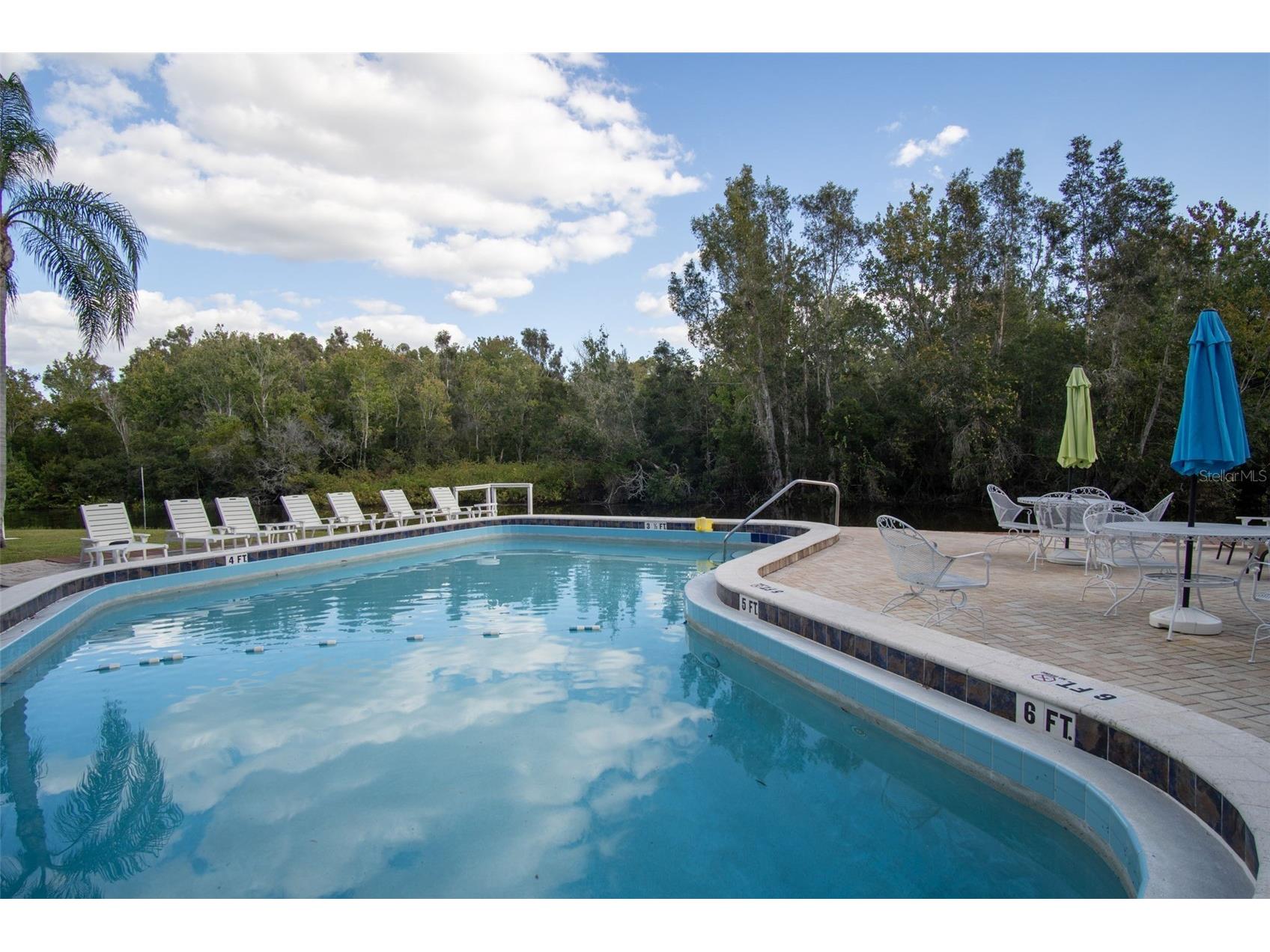 2533 Dolly Bay Drive #203 Palm Harbor FL 34684 - LAKE TARPON TB8386582 image3