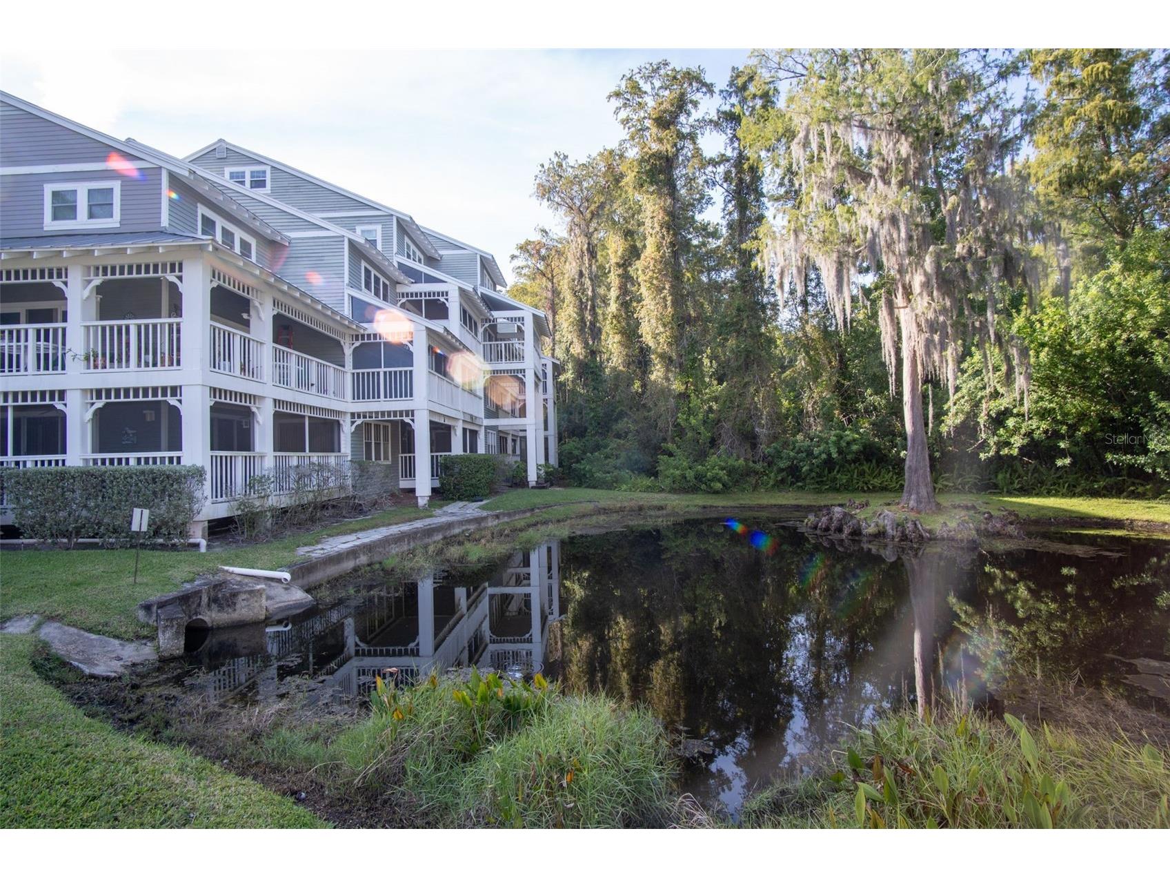 2533 Dolly Bay Drive #203 Palm Harbor FL 34684 - LAKE TARPON TB8386582 image31