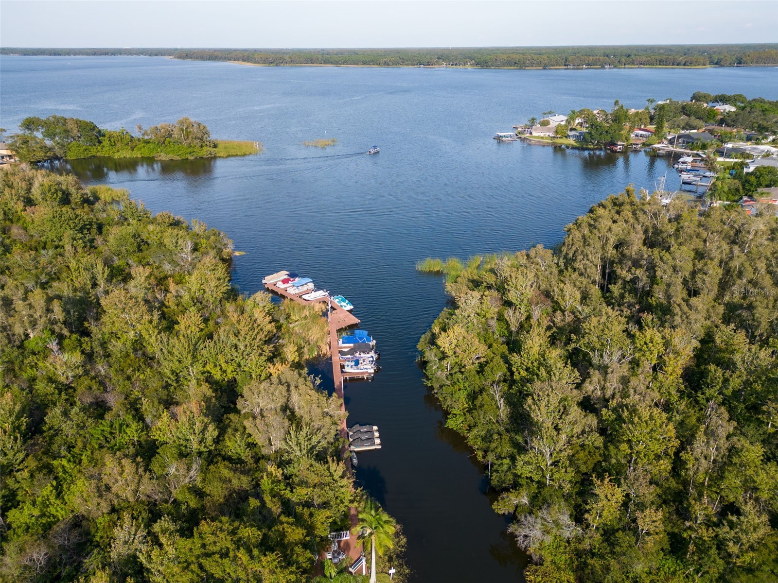 2533 Dolly Bay Drive #203 Palm Harbor FL 34684 - LAKE TARPON TB8386582 image32