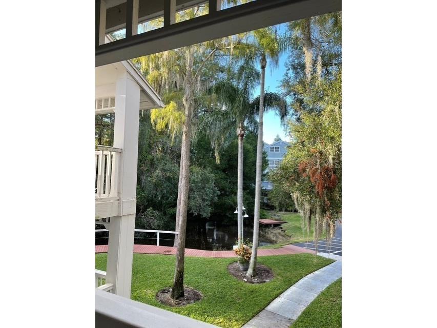 2533 Dolly Bay Drive #203 Palm Harbor FL 34684 - LAKE TARPON TB8386582 image35
