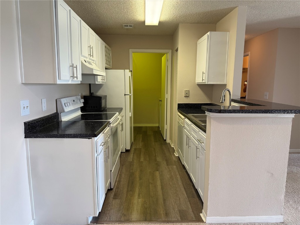 2533 Grassy Point Drive #213 Lake Mary FL 32746 O6344328 image4