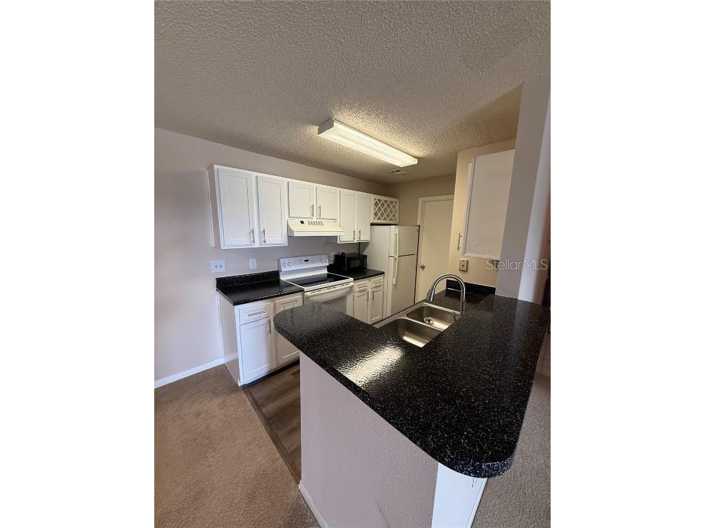 2533 Grassy Point Drive #213 Lake Mary FL 32746 O6344328 image6