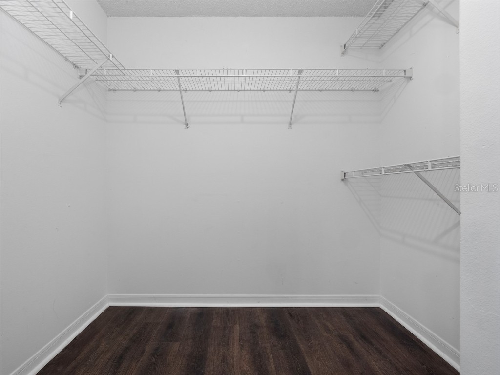 2533 Grassy Point Drive #215 Lake Mary FL 32746 O6315051 image14