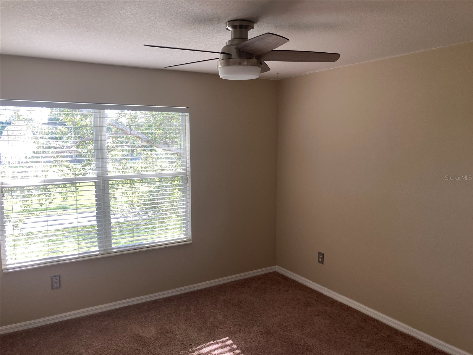 2533 Harn Boulevard #2 Clearwater FL 33764 TB8525592 image13