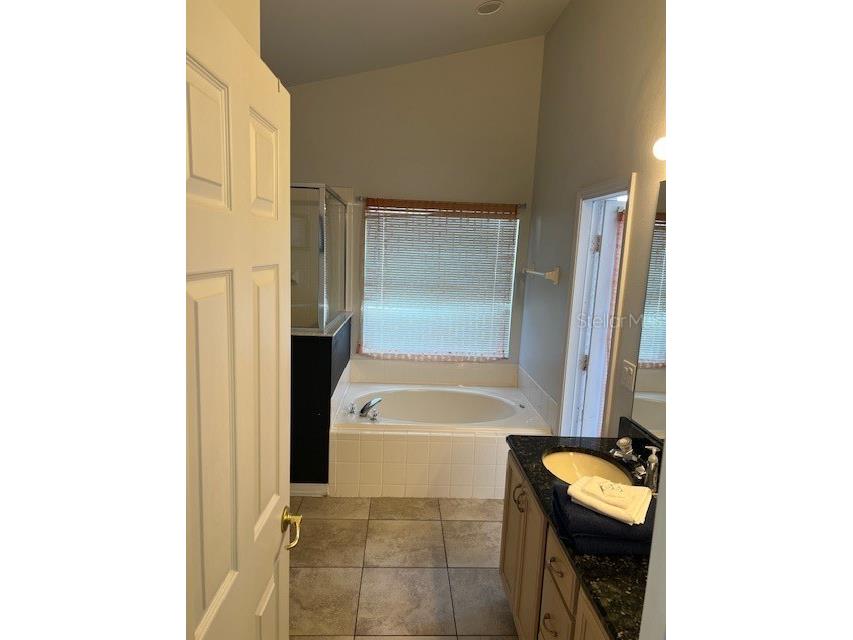 2533 Oneida Loop Kissimmee FL 34747 O6358789 image42