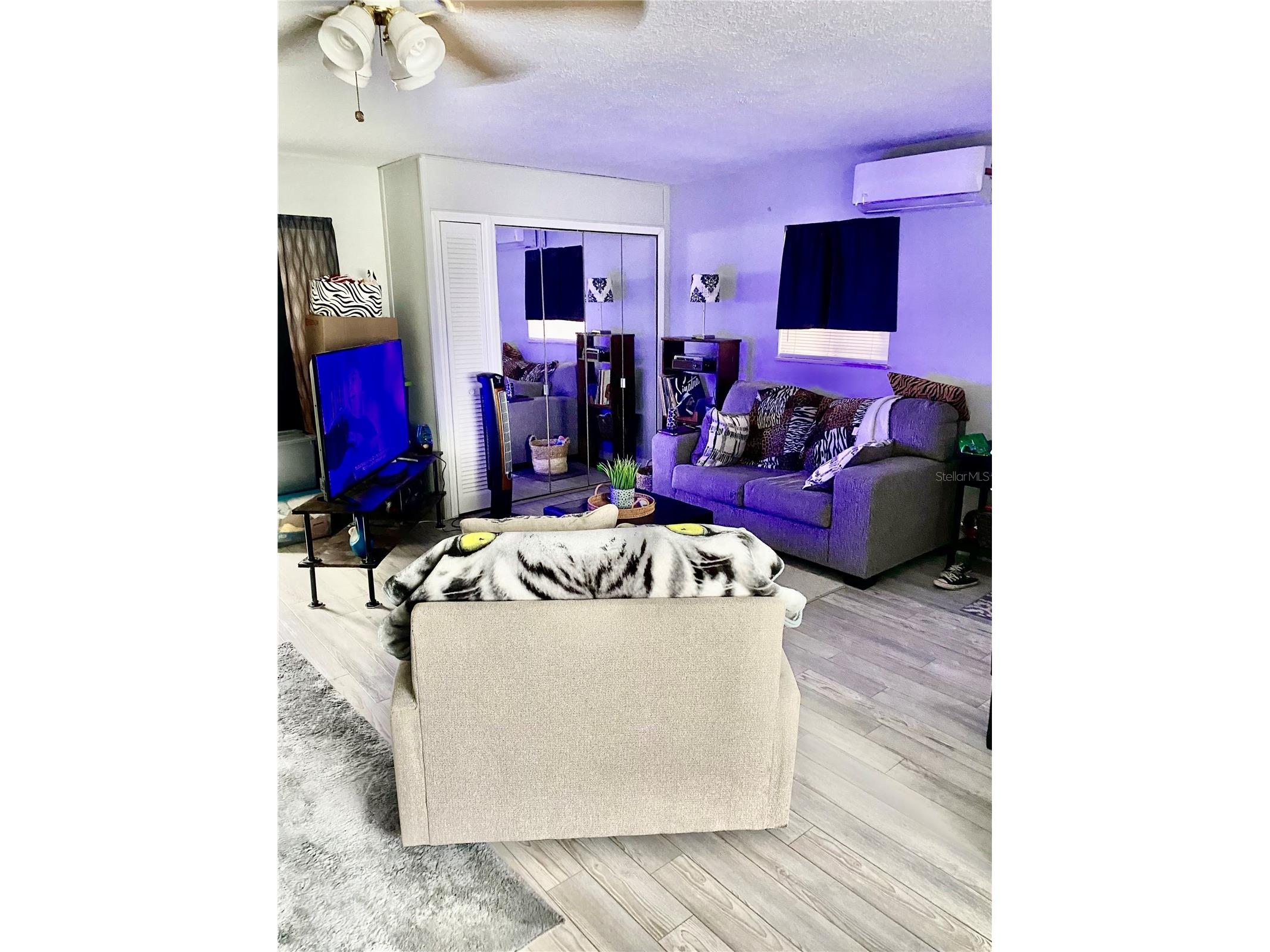 2533 W Lake Dr Deland FL 32724 V4949409 image4