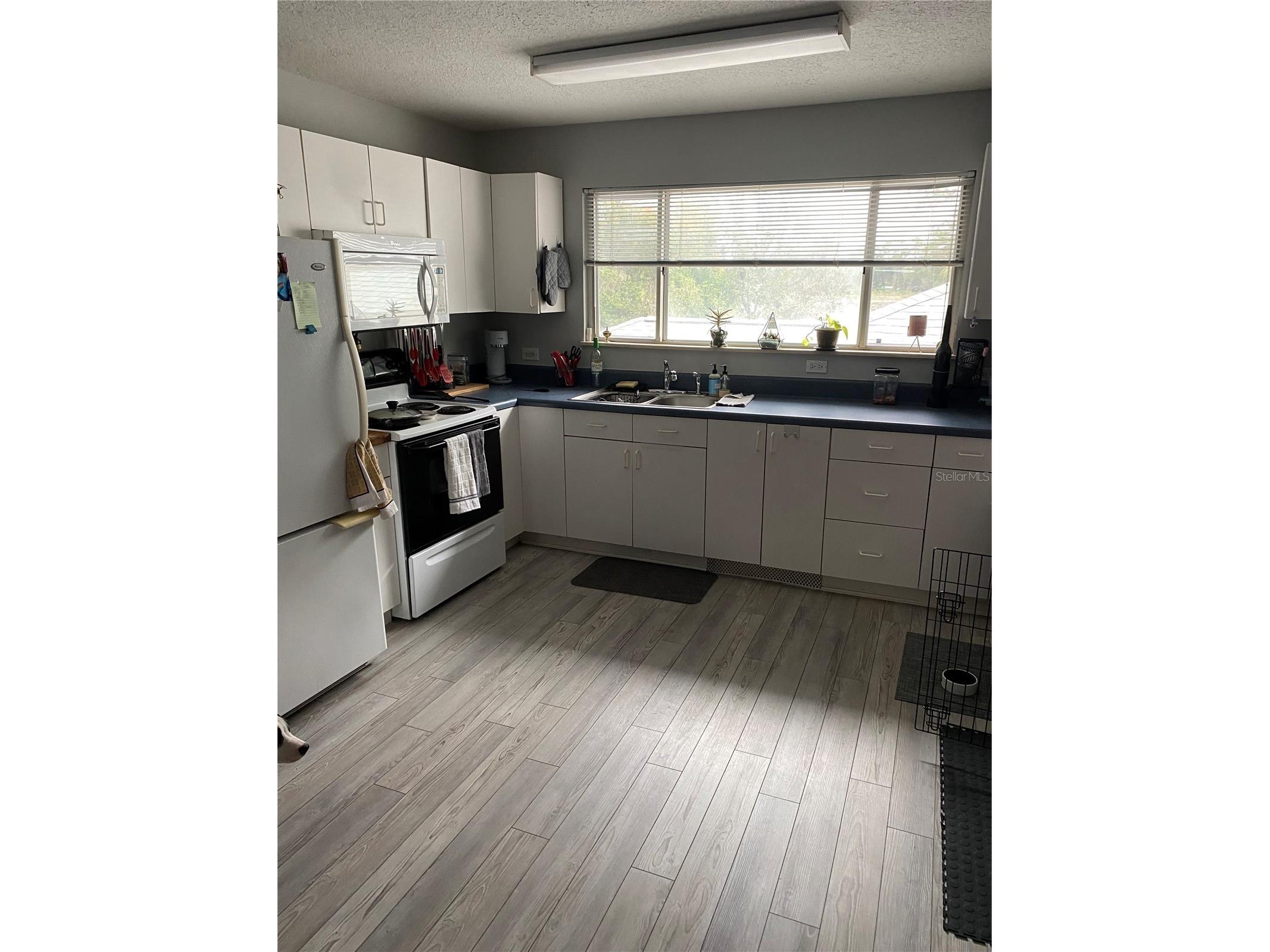 2533 W Lake Dr Deland FL 32724 V4949409 image6