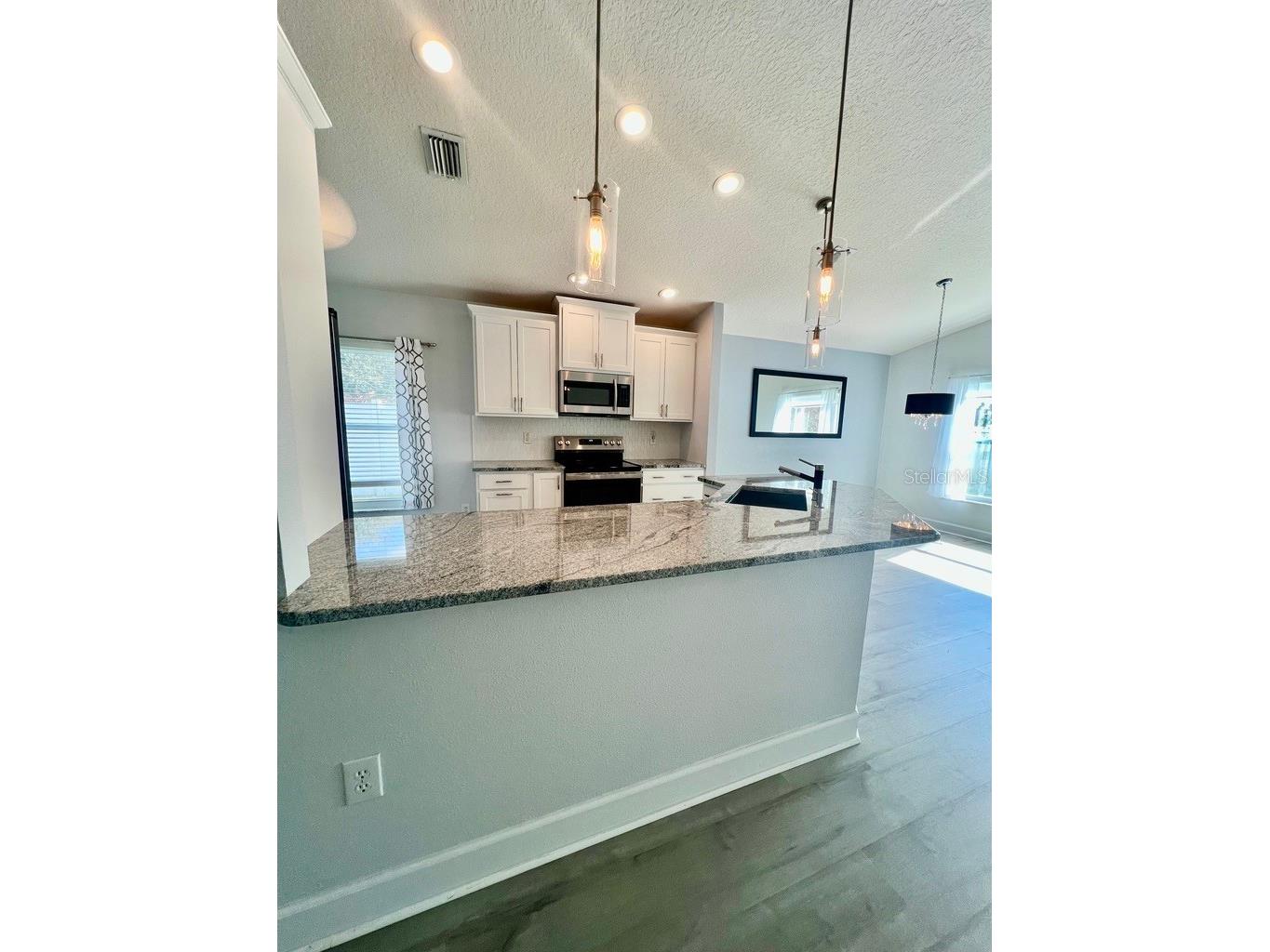 25330 Flying Ebony Lane Wesley Chapel FL 33544 TB8475778 image13