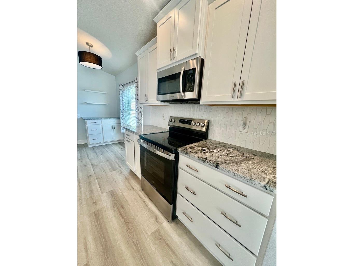 25330 Flying Ebony Lane Wesley Chapel FL 33544 TB8475778 image15