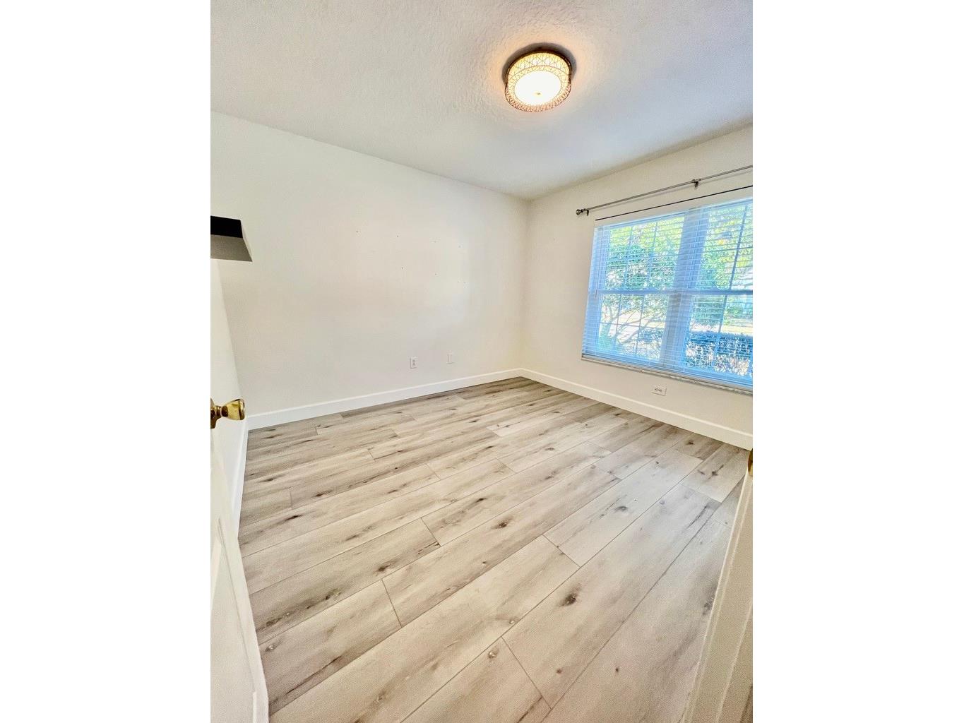 25330 Flying Ebony Lane Wesley Chapel FL 33544 TB8475778 image8