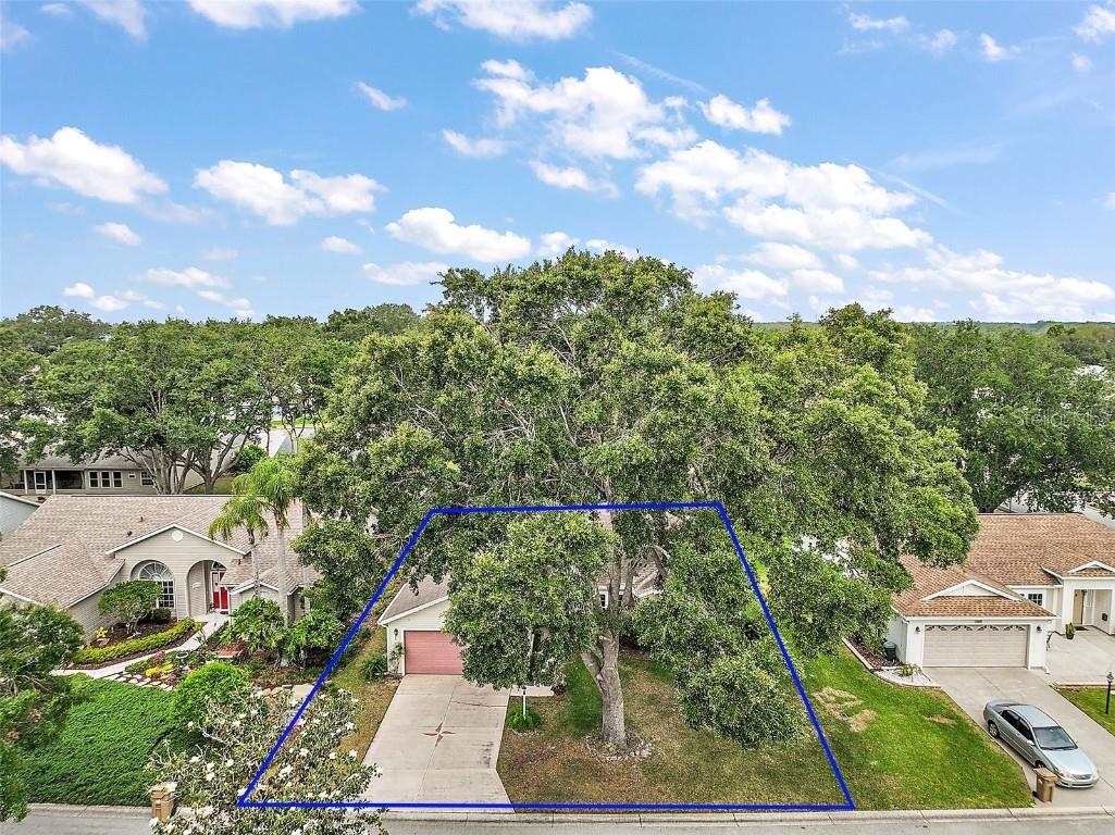 25333 River Crest Drive Leesburg FL 34748 G5096317 image3