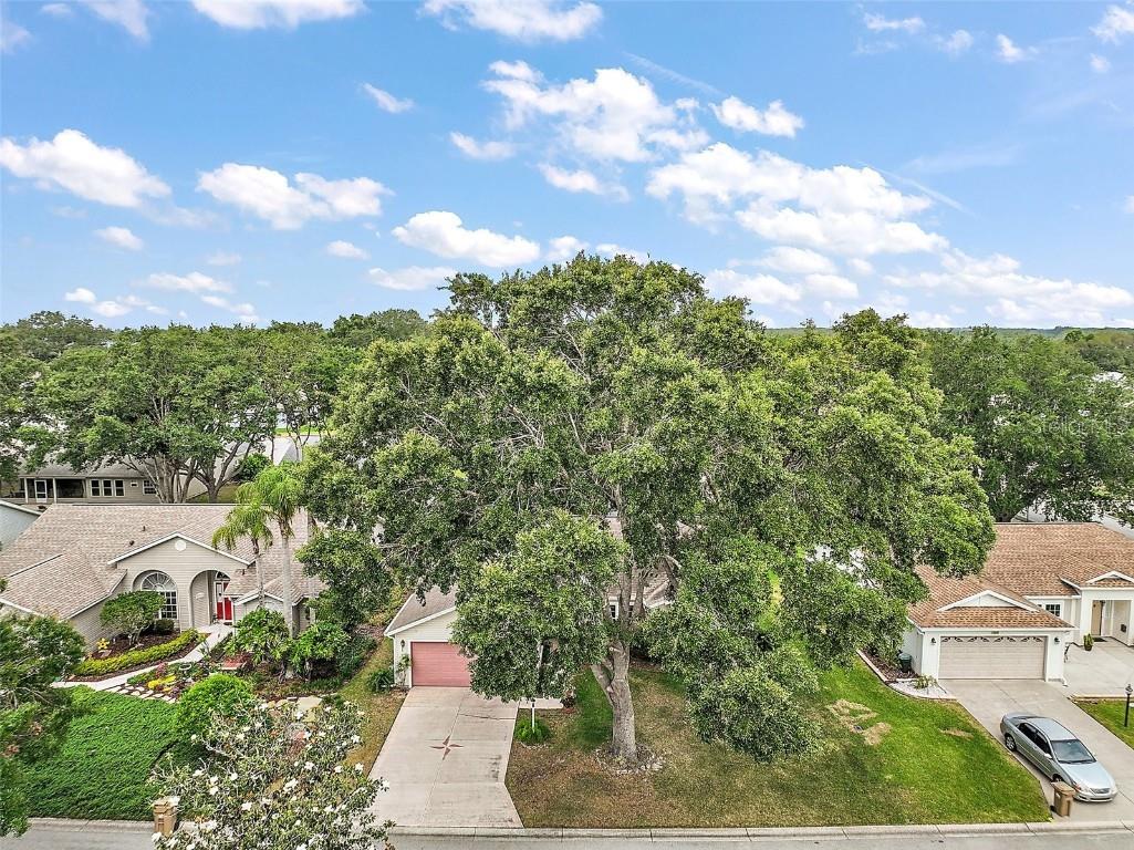 25333 River Crest Drive Leesburg FL 34748 G5096317 image4