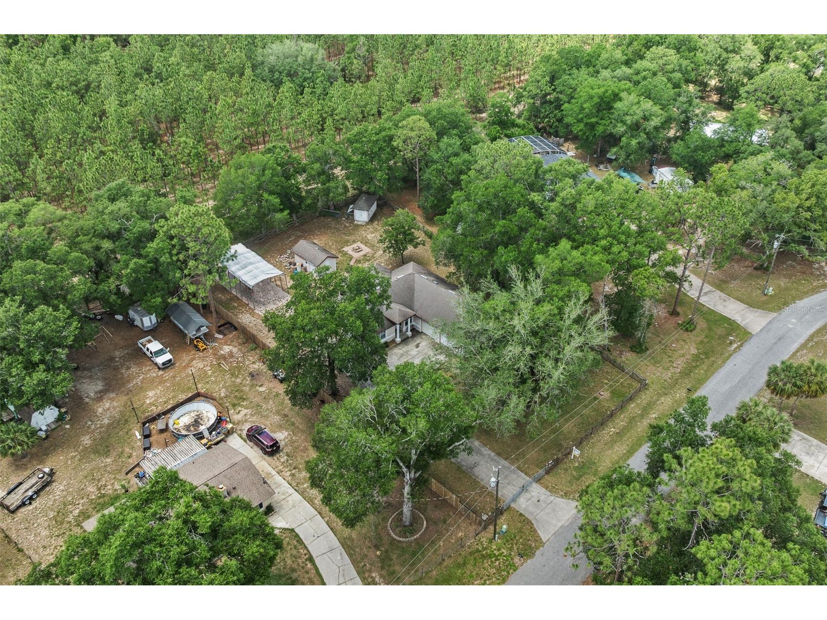 25335 Mardon Circle Paisley FL 32767 S5150892 image39