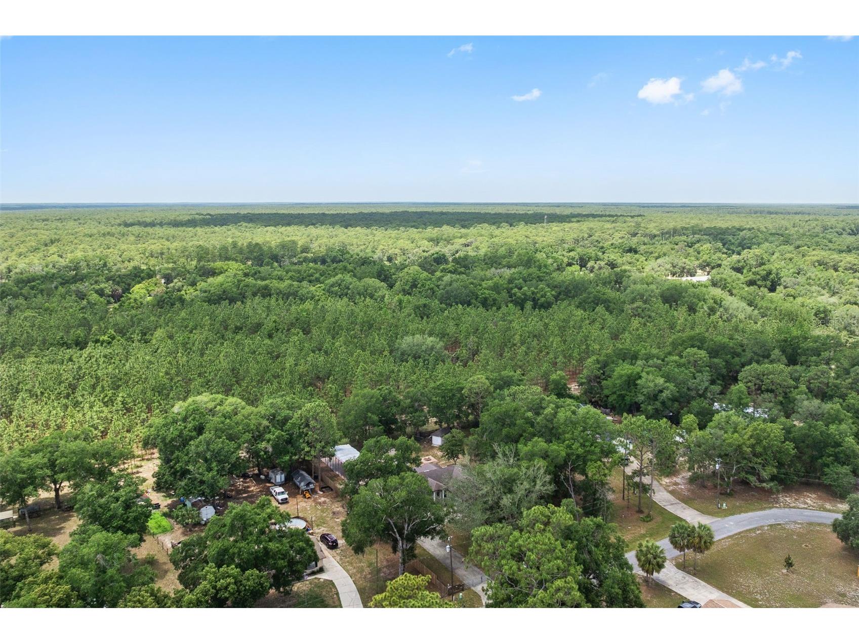 25335 Mardon Circle Paisley FL 32767 S5150892 image40