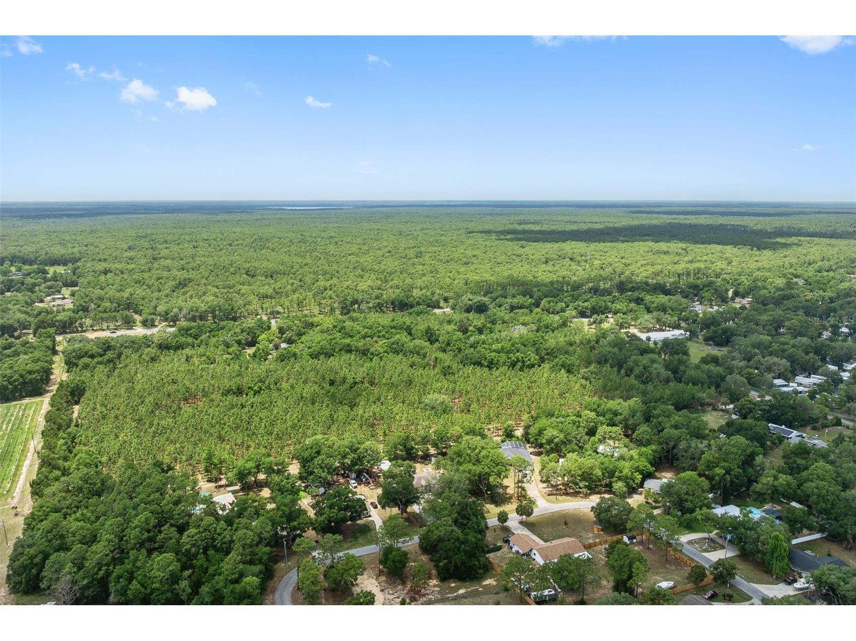 25335 Mardon Circle Paisley FL 32767 S5150892 image42