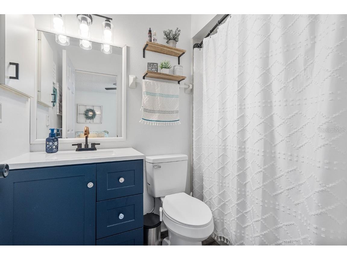 25336 Saint Anne Street Sorrento FL 32776 O6363599 image15