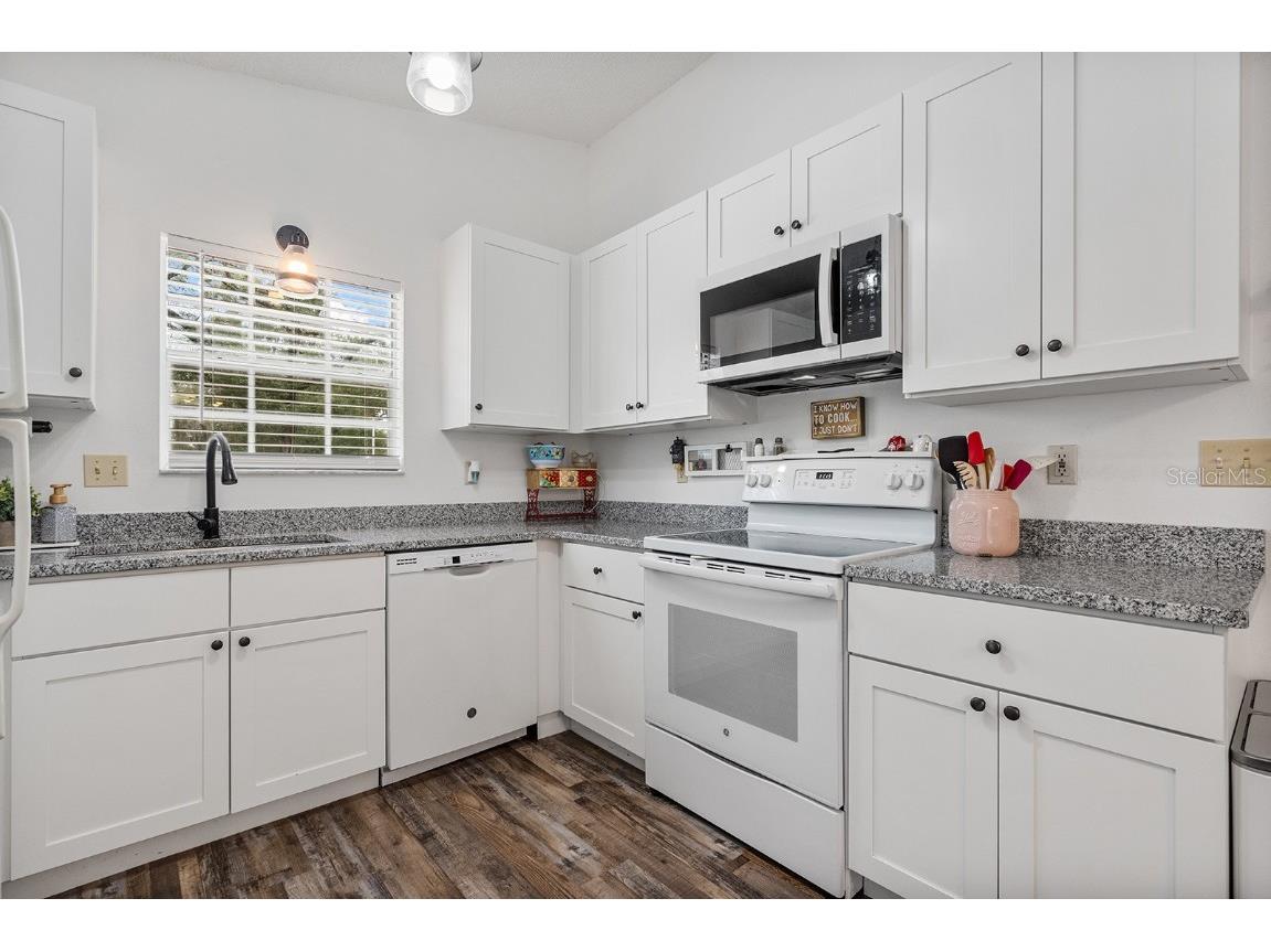 25336 Saint Anne Street Sorrento FL 32776 O6363599 image5