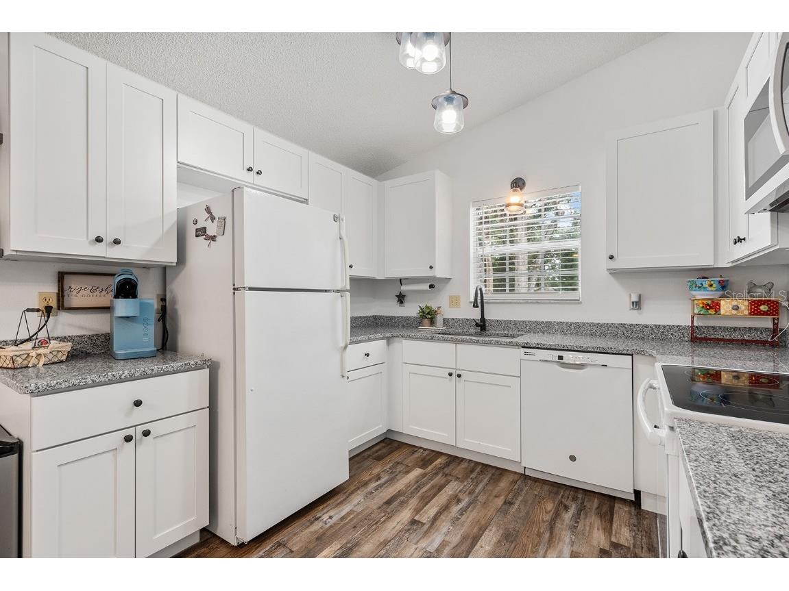 25336 Saint Anne Street Sorrento FL 32776 O6363599 image6