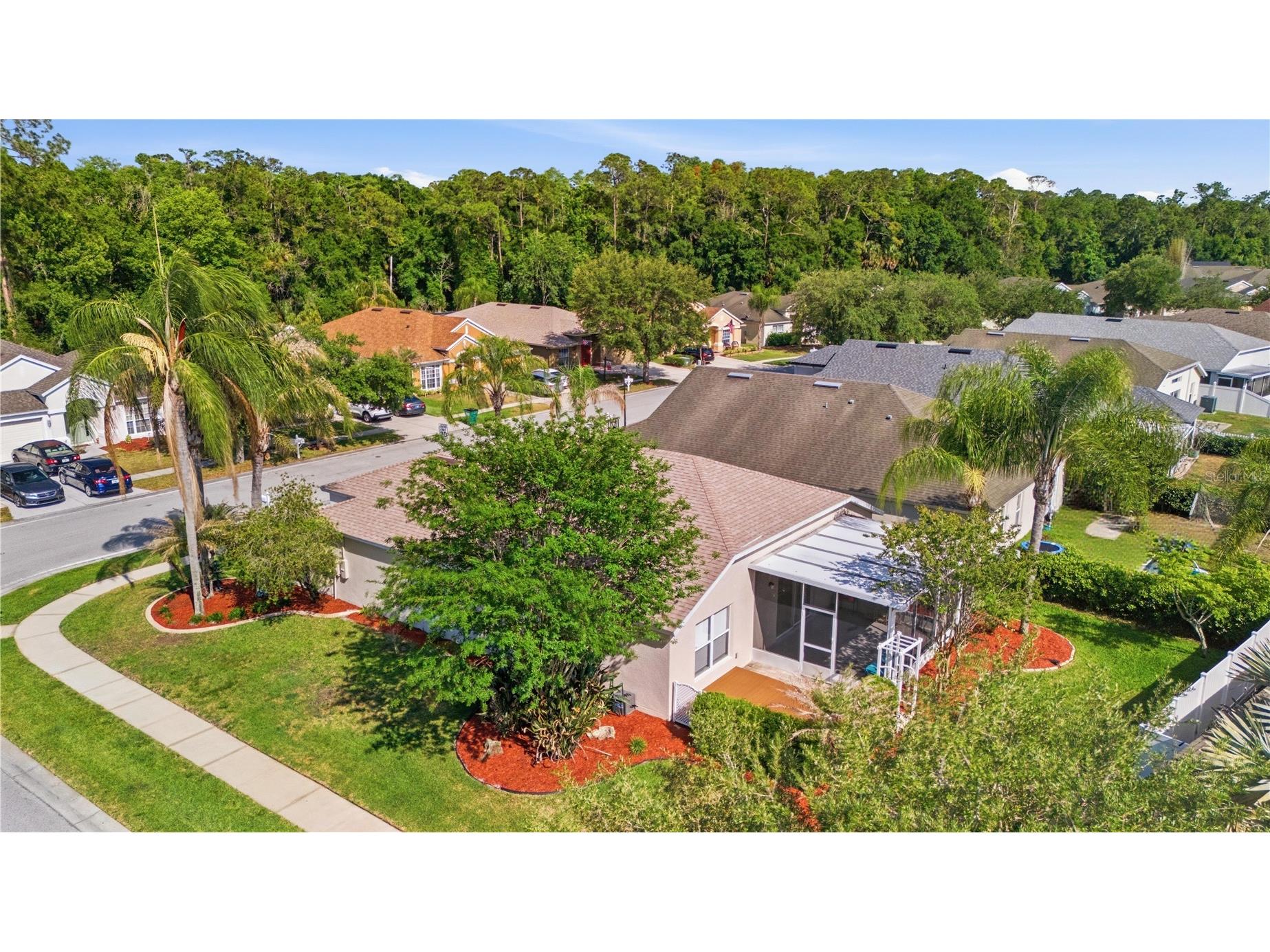 25337 Lexington Oaks Boulevard Wesley Chapel FL 33544 TB8507626 image47