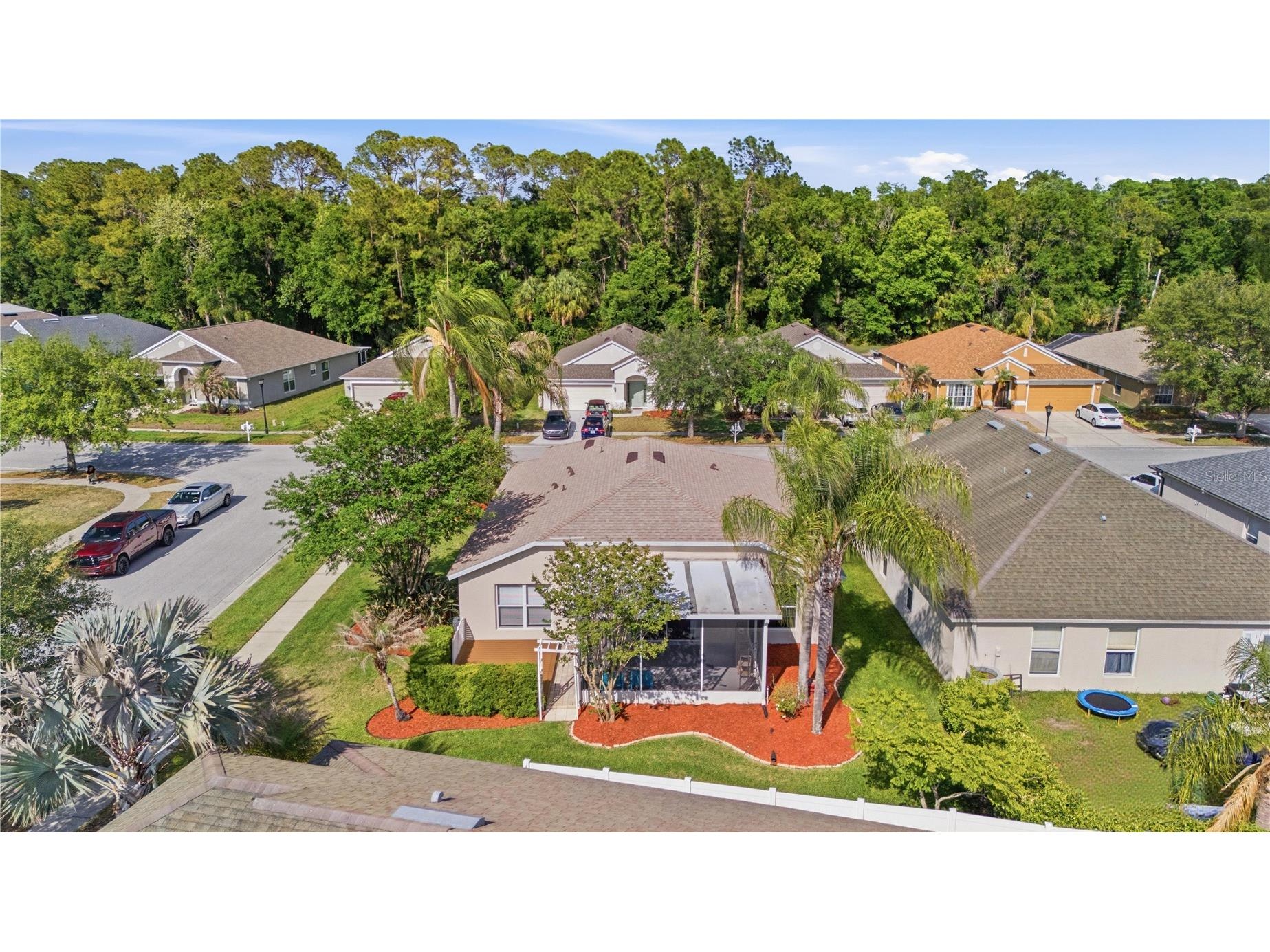 25337 Lexington Oaks Boulevard Wesley Chapel FL 33544 TB8507626 image48