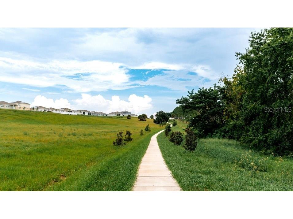 2534 Aveeno Avenue Haines City FL 33844 O6381624 image27