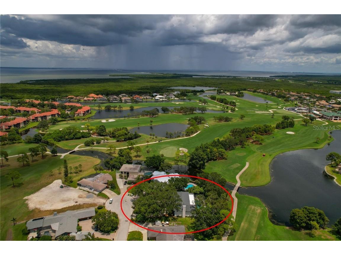 2534 Heron Lane N Clearwater FL 33762 TB8414308 image5