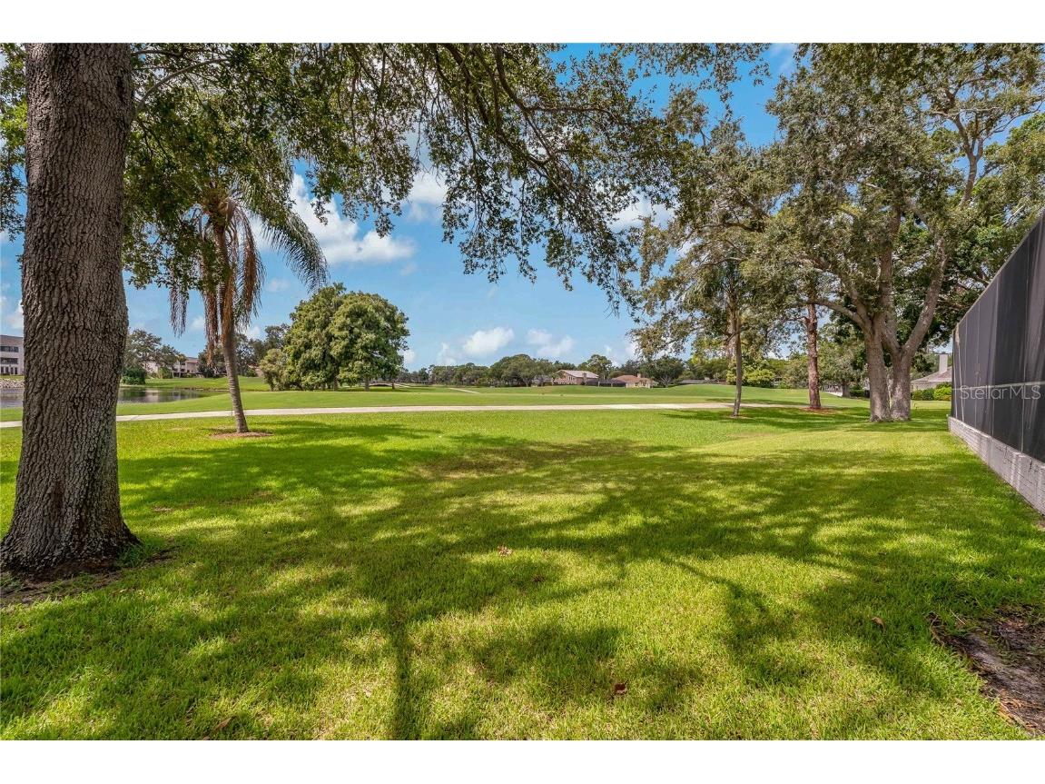 2534 Heron Lane N Clearwater FL 33762 TB8414308 image50