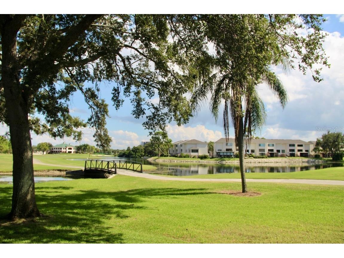 2534 Heron Lane N Clearwater FL 33762 TB8414308 image6