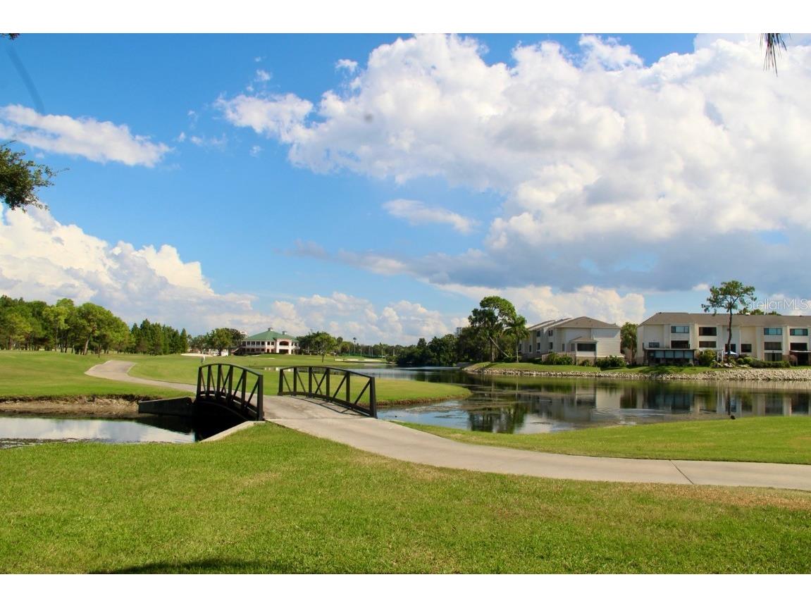 2534 Heron Lane N Clearwater FL 33762 TB8414308 image7