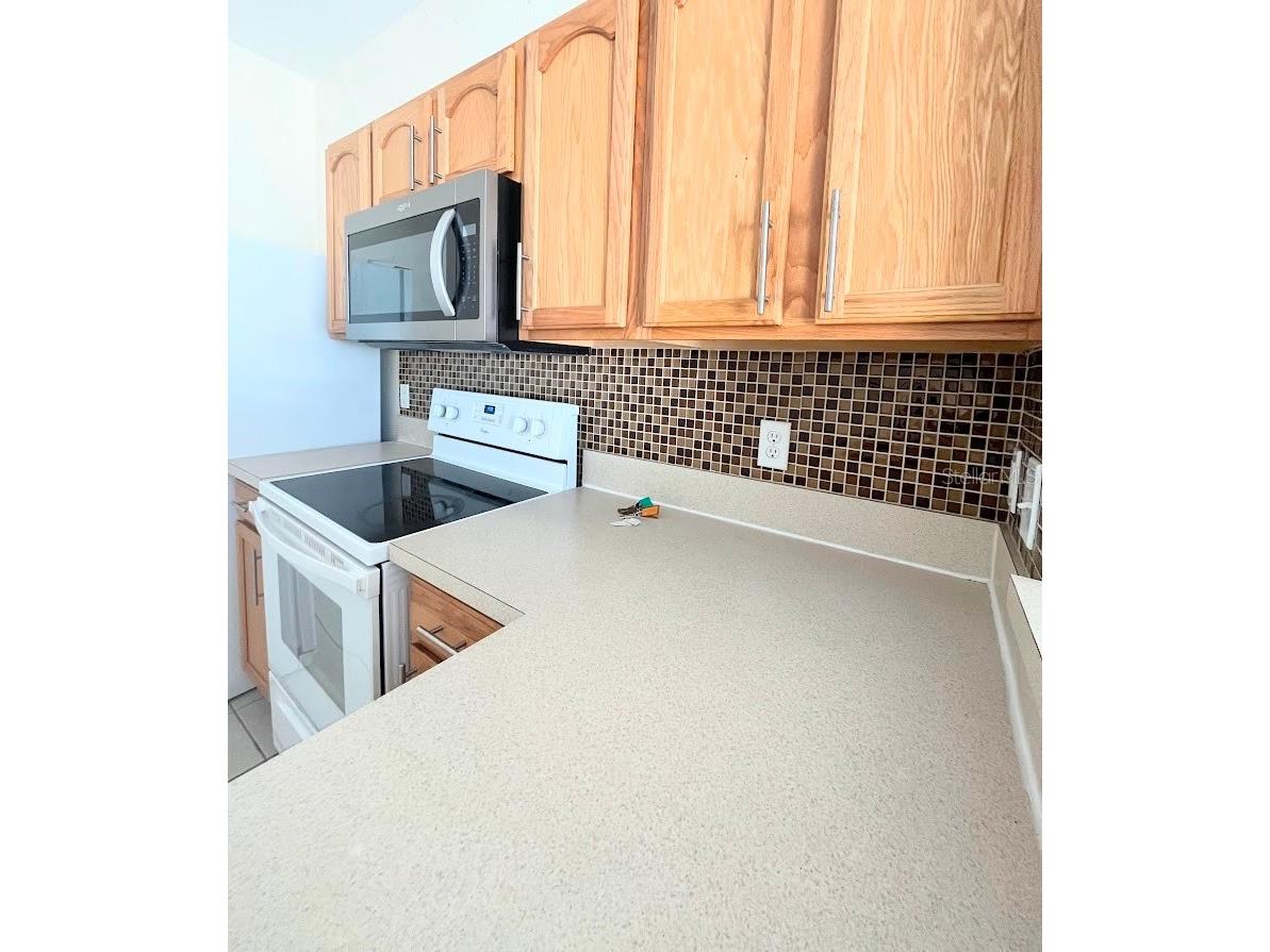 2534 Maneshaw Lane Kissimmee FL 34747 G5108572 image6