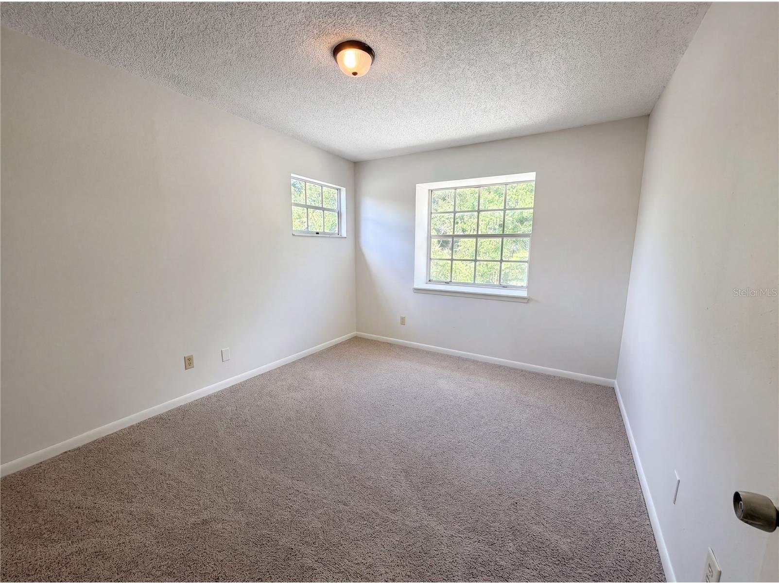 2534 Victarra Circle Lutz FL 33559 O6409654 image4