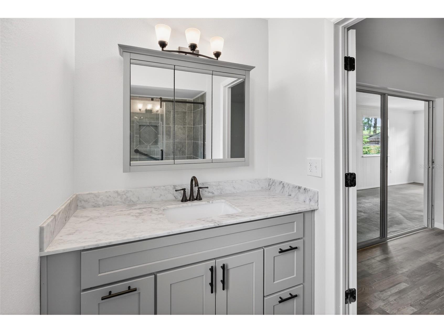 25342 Carnoustie Drive Sorrento FL 32776 TB8514360 image11