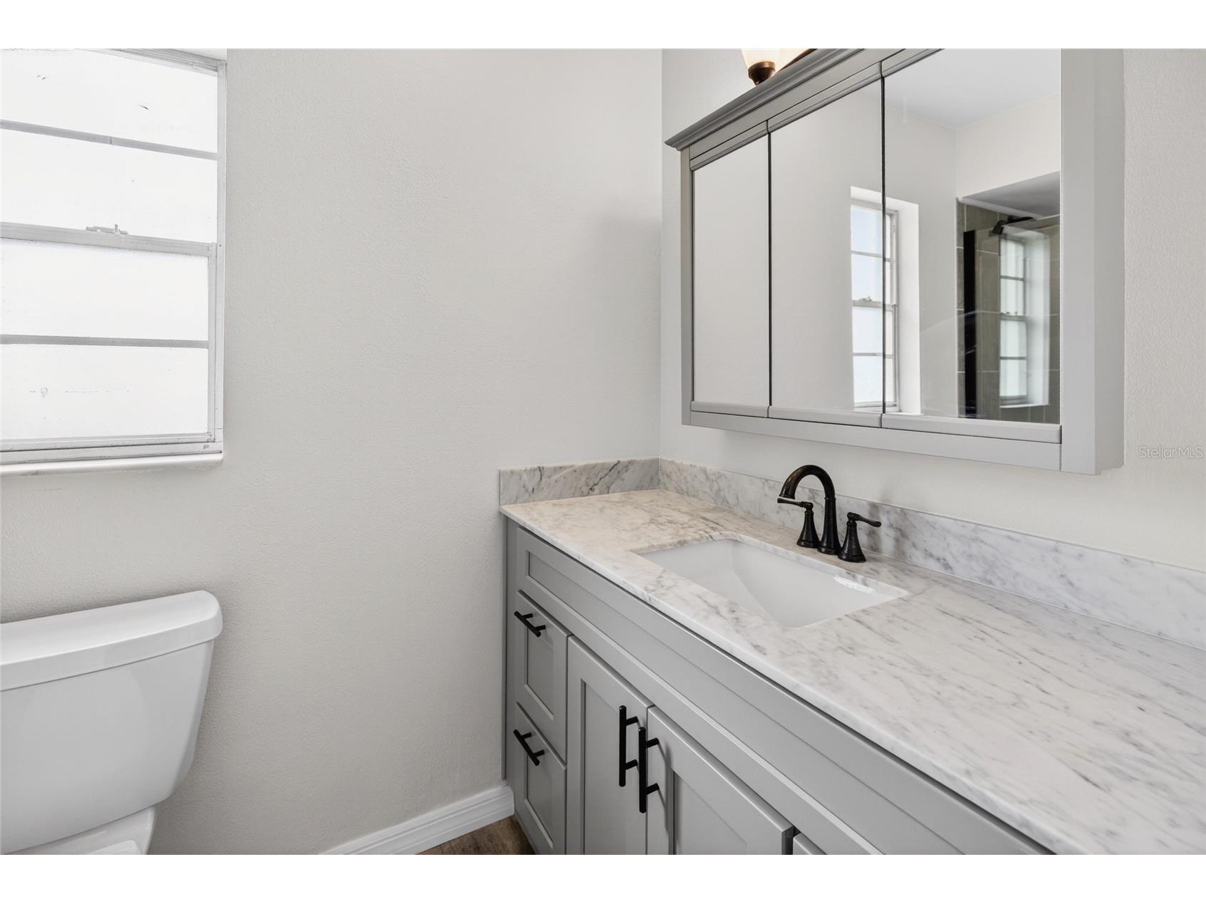 25342 Carnoustie Drive Sorrento FL 32776 TB8514360 image12