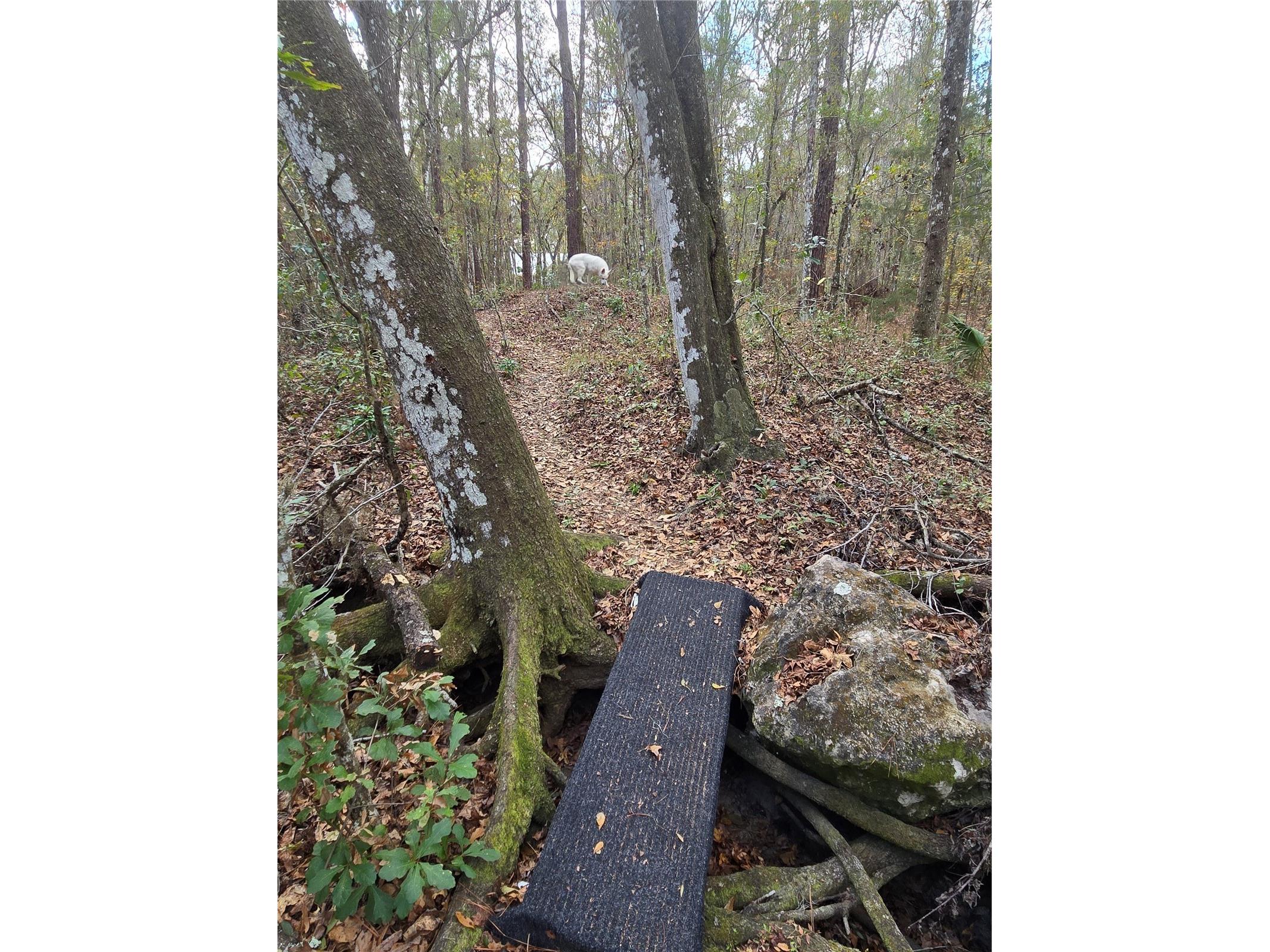 25344 Croom Road Brooksville FL 34601 O6377143 image31