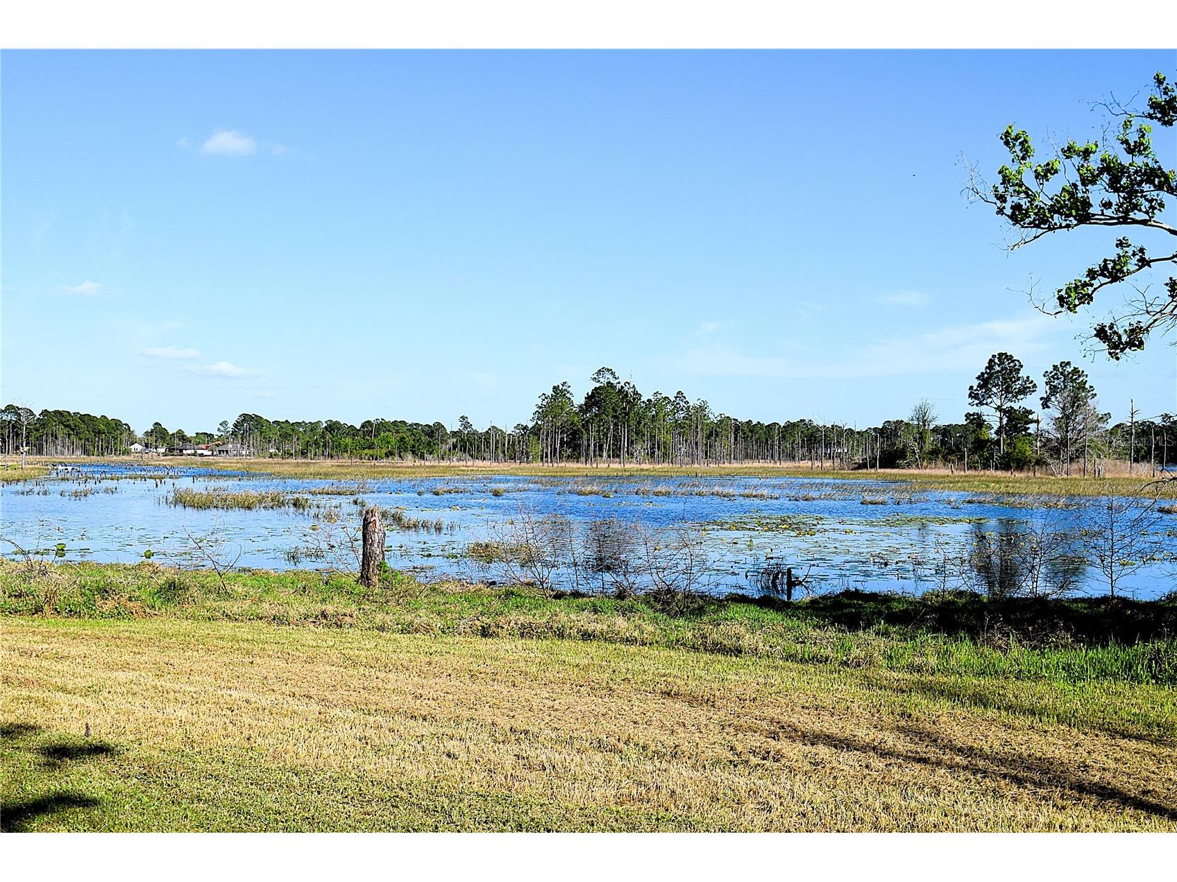 2535 Boswell Street Deltona FL 32738 - LAKE BUTLER V4948262 image17