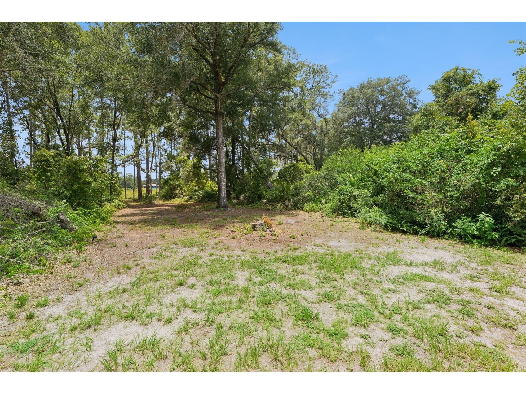 2535 E Lake Drive Deland FL 32724 - LAKE DAYTONA V4950116 image22