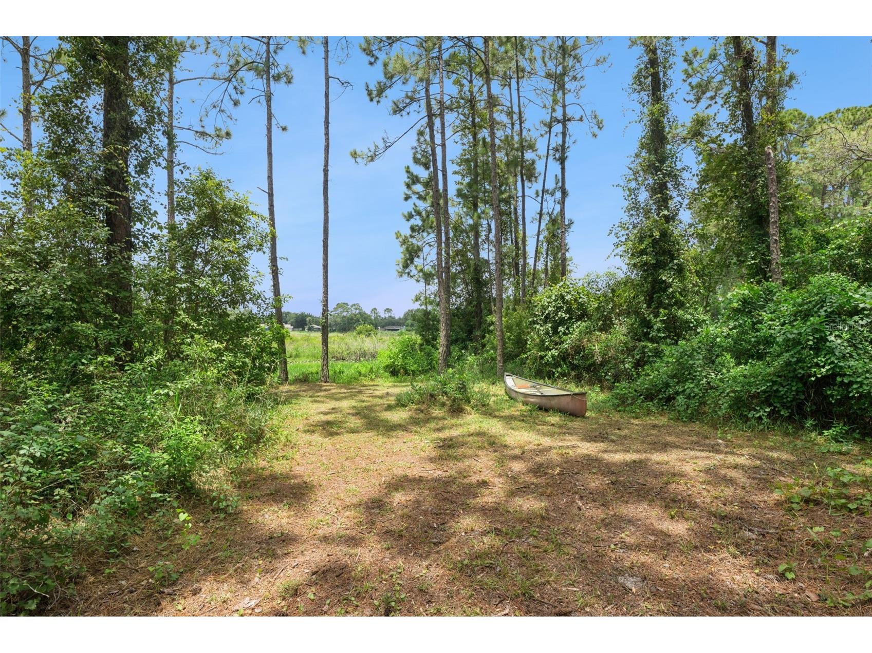 2535 E Lake Drive Deland FL 32724 - LAKE DAYTONA V4950116 image23