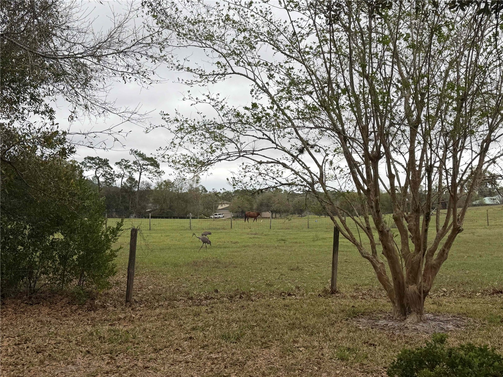 2535 S Glen Eagles Drive Deland FL 32724 O6391713 image25