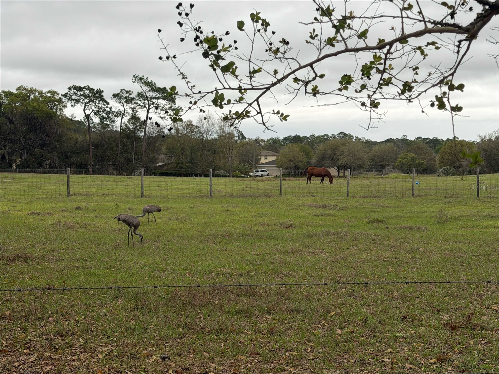 2535 S Glen Eagles Drive Deland FL 32724 O6391713 image26