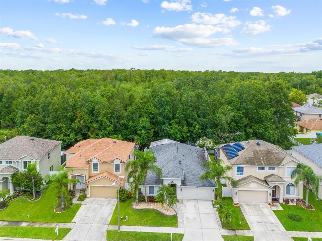 25354 Geddy Drive Land O Lakes FL 34639 T3459366 image1