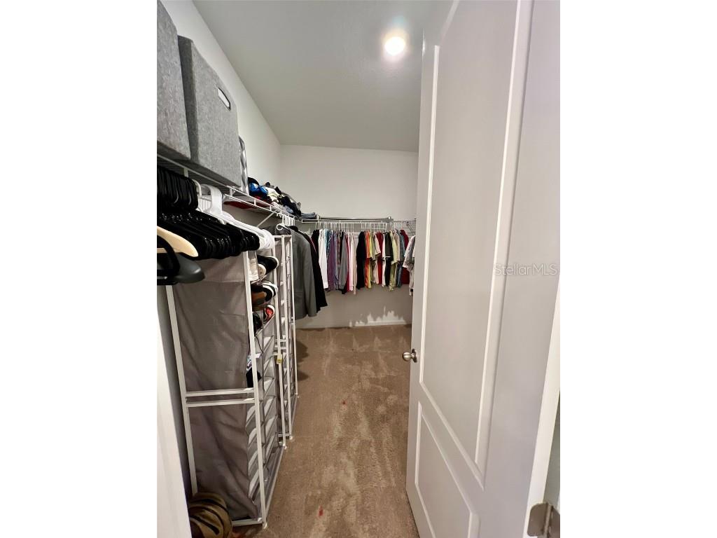 2536 Autumn Stream Drive Leesburg FL 34748 W7878910 image29