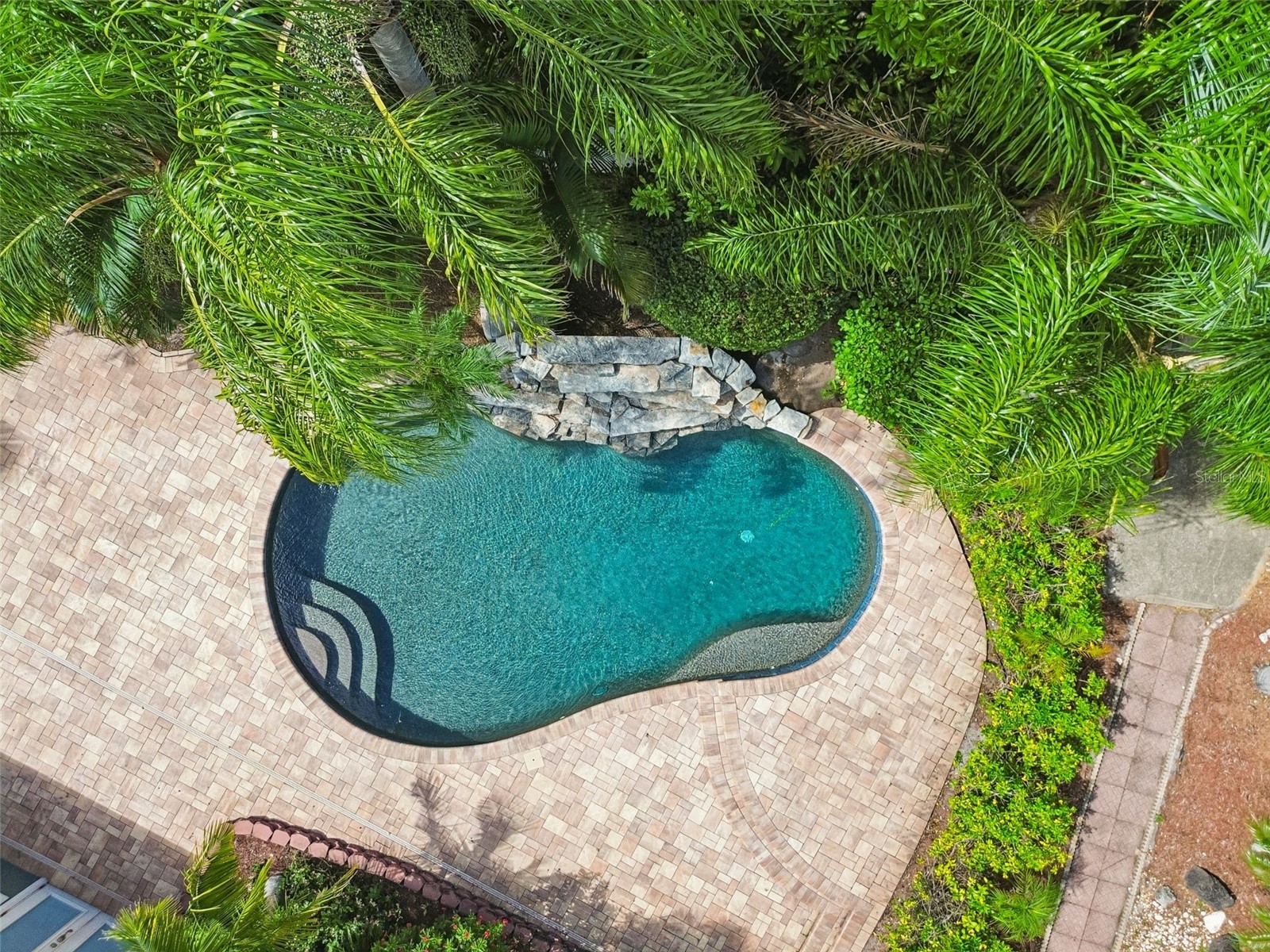 2536 Countryside Pines Drive Clearwater FL 33761 TB8520968 image53