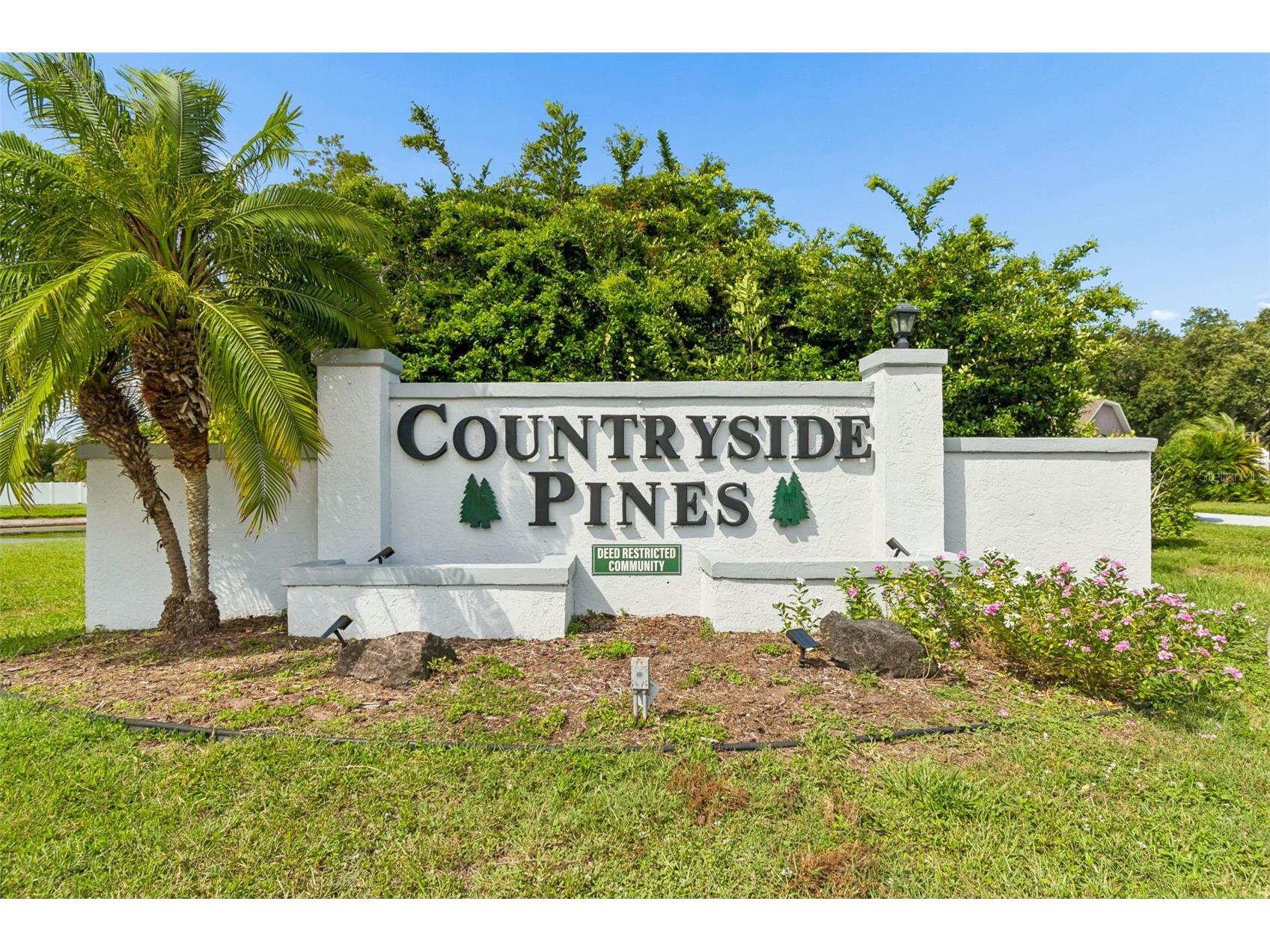 2536 Countryside Pines Drive Clearwater FL 33761 TB8520968 image55