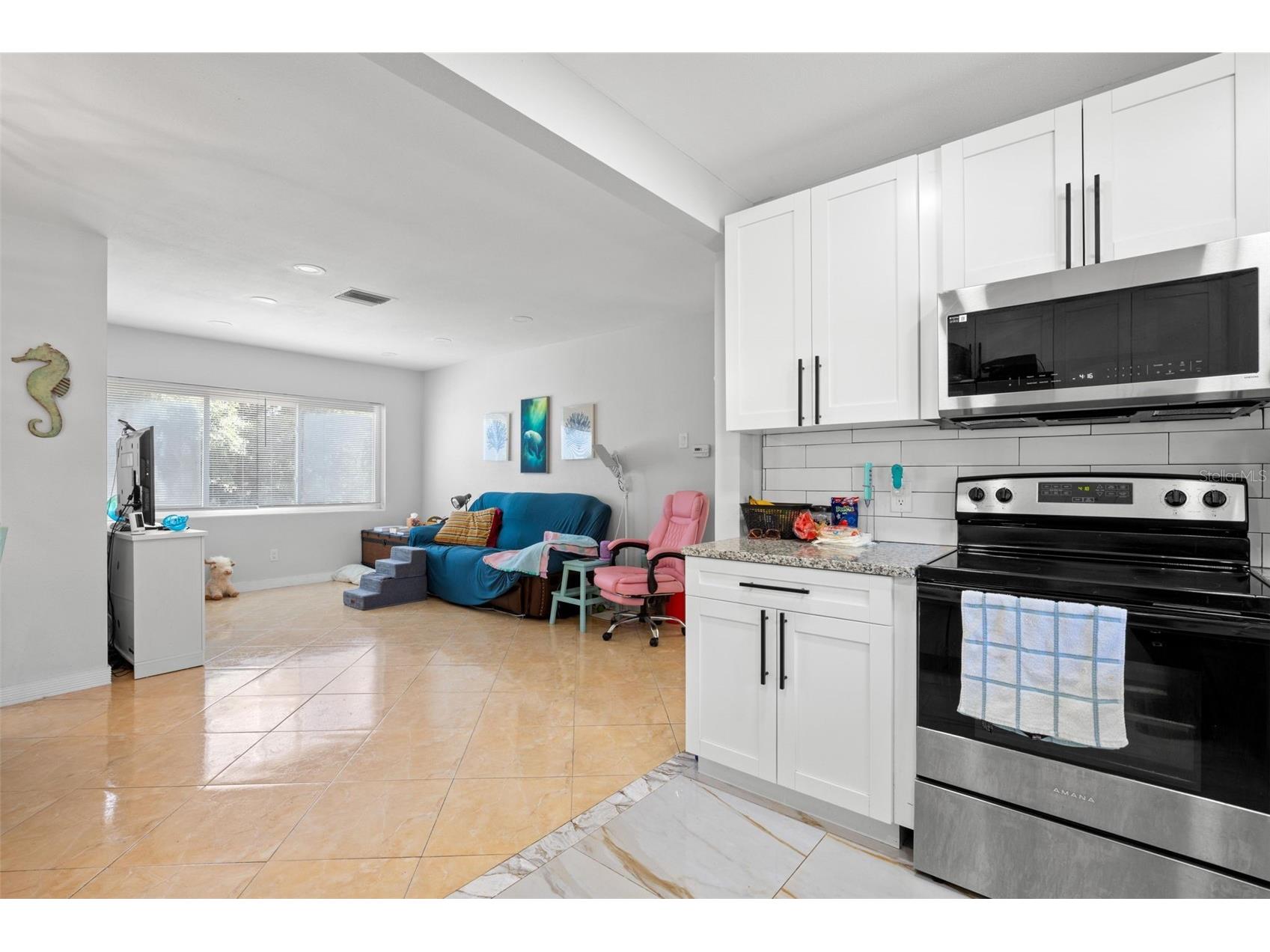 2536 Keene Park Drive Largo FL 33771 TB8508574 image8