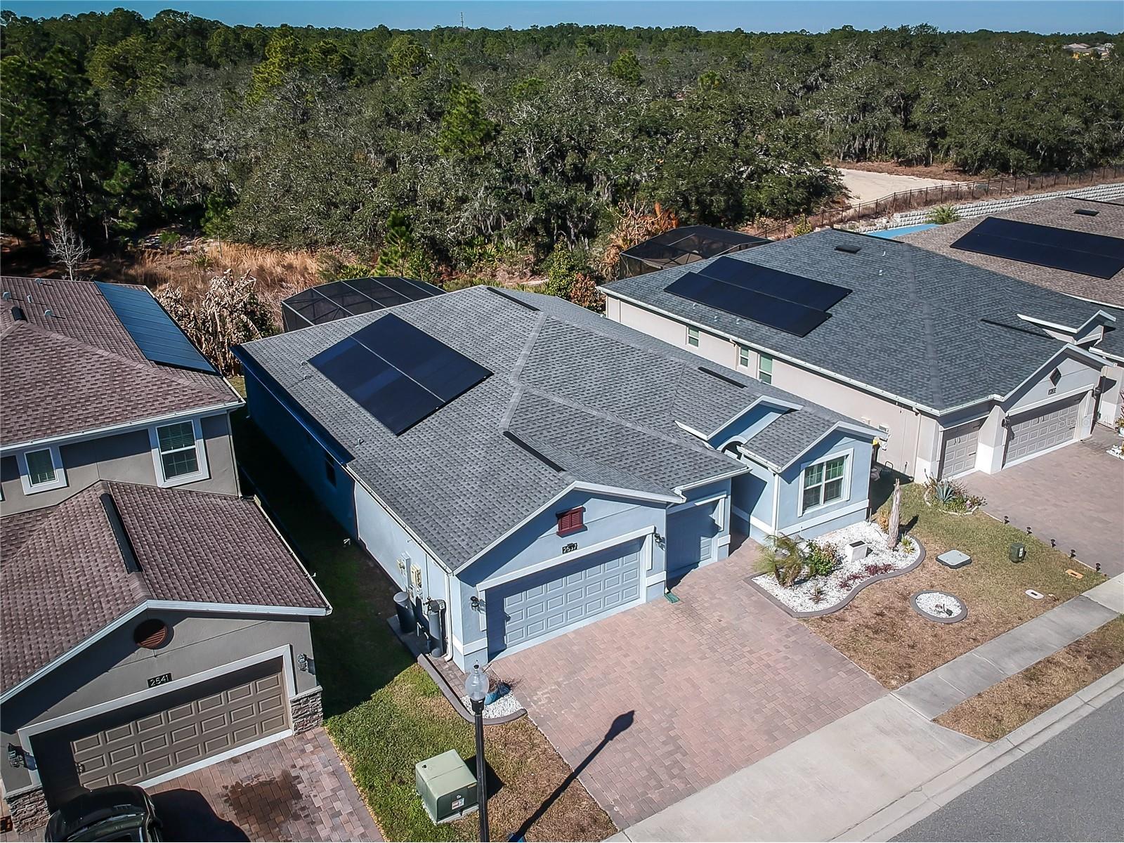 2537 Camden Park Circle Davenport FL 33837 O6380817 image3