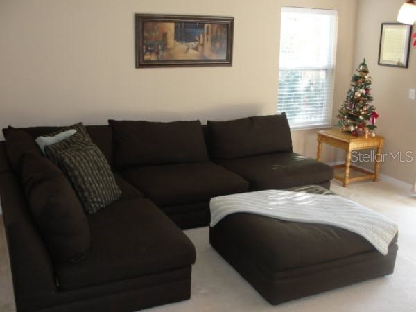2537 Harn Boulevard #1 Clearwater FL 33764 TB8526383 image5