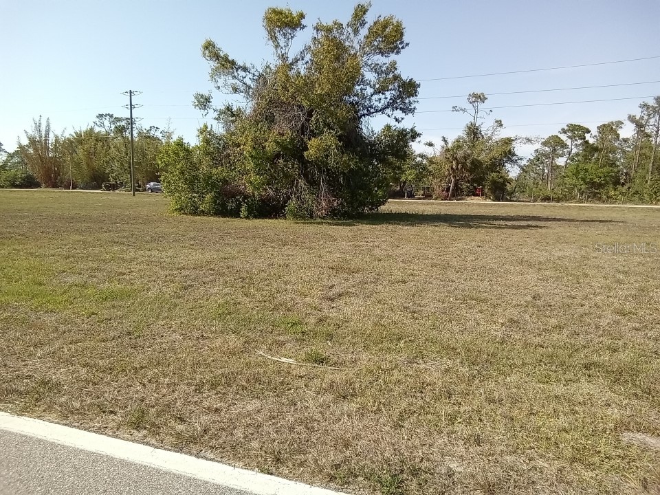 25372 Alicante Drive Punta Gorda FL 33955 O6111765 image1