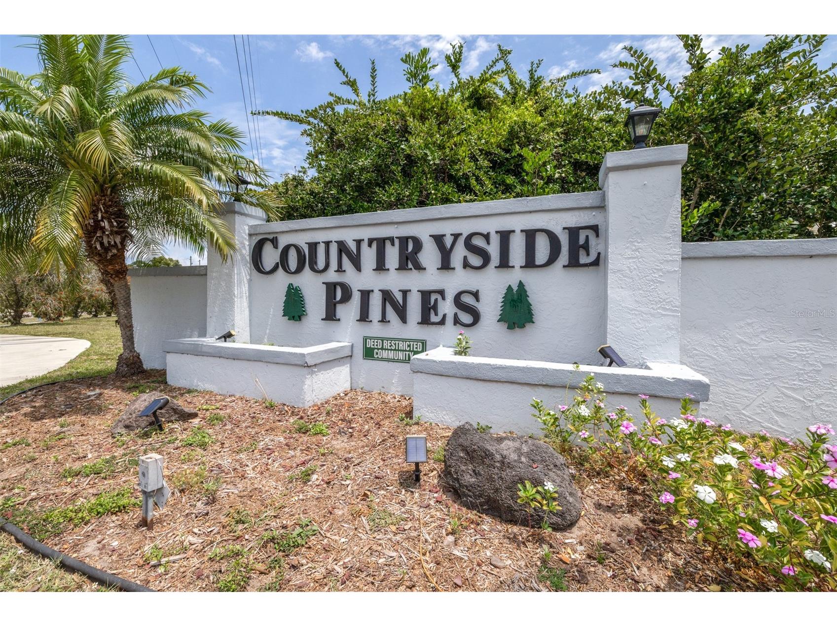 2538 Countryside Pines Drive Clearwater FL 33761 TB8509611 image48