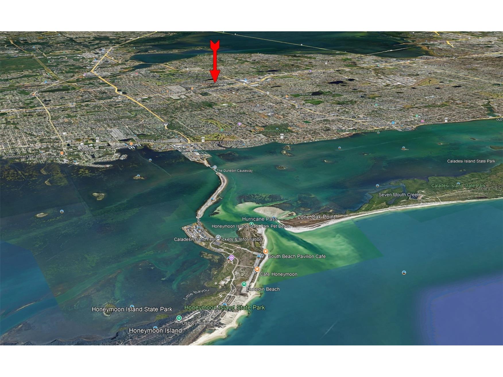 2538 Countryside Pines Drive Clearwater FL 33761 TB8509611 image50