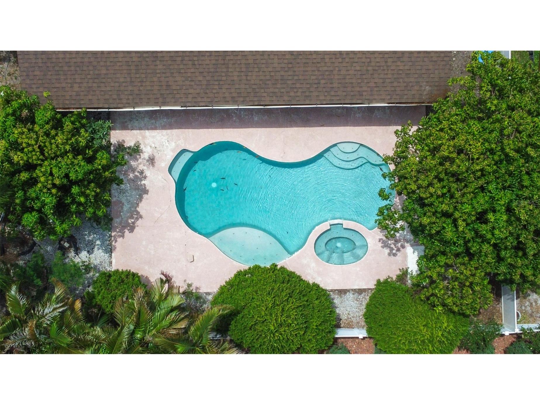 2538 Countryside Pines Drive Clearwater FL 33761 TB8509611 image59
